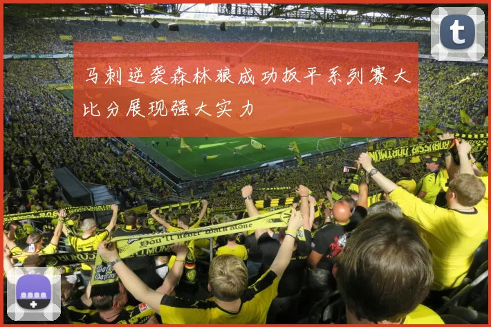 马刺逆袭森林狼成功扳平系列赛大比分展现强大实力