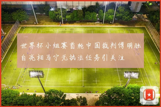 世界杯小组赛首轮中国裁判傅明独自亮相马宁无执法任务引关注